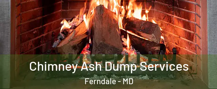 Chimney Ash Dump Services Ferndale - MD