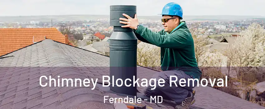 Chimney Blockage Removal Ferndale - MD