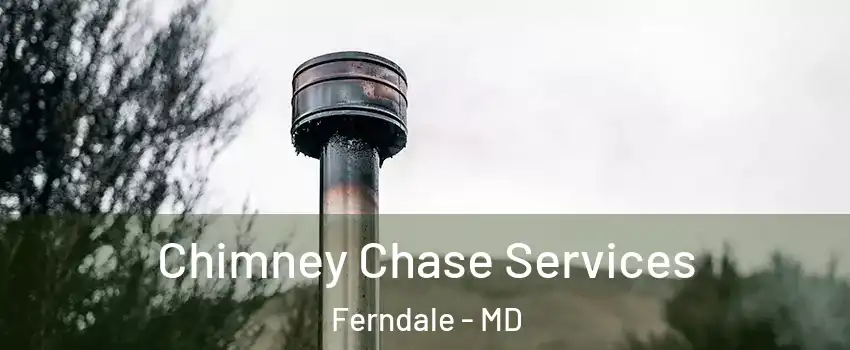Chimney Chase Services Ferndale - MD