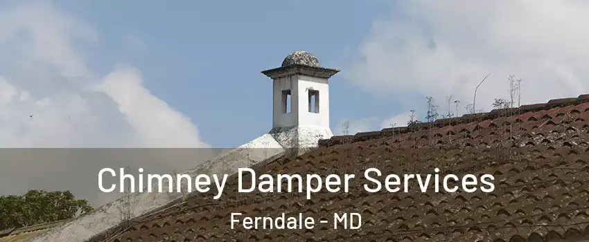 Chimney Damper Services Ferndale - MD