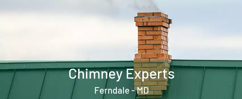 Chimney Experts Ferndale - MD