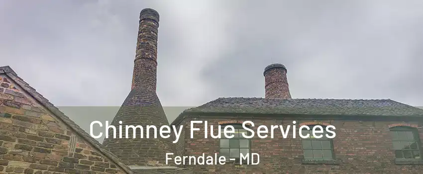 Chimney Flue Services Ferndale - MD
