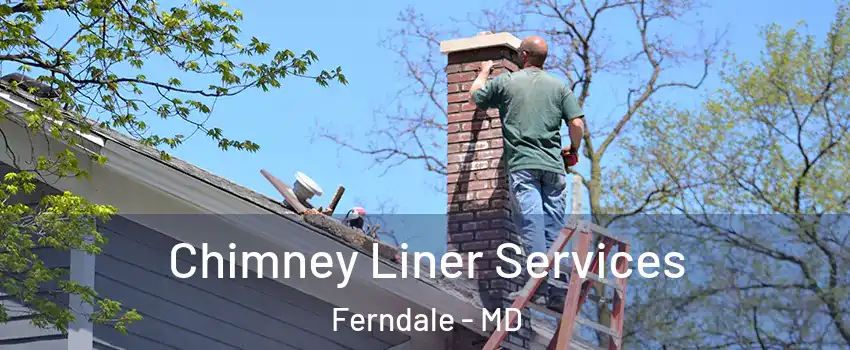 Chimney Liner Services Ferndale - MD