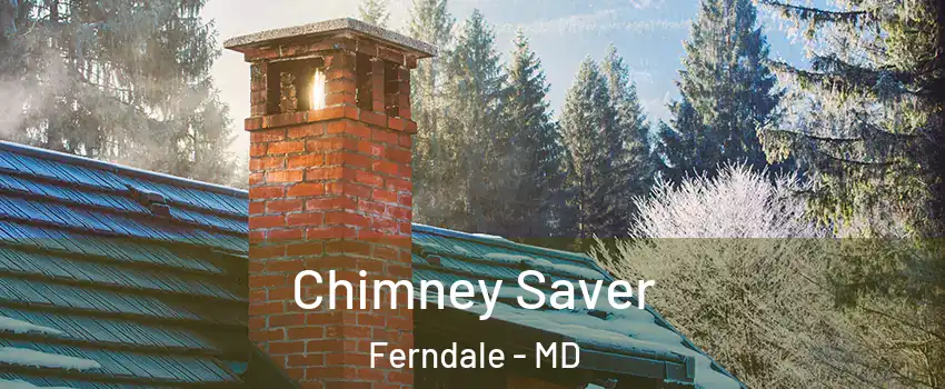Chimney Saver Ferndale - MD