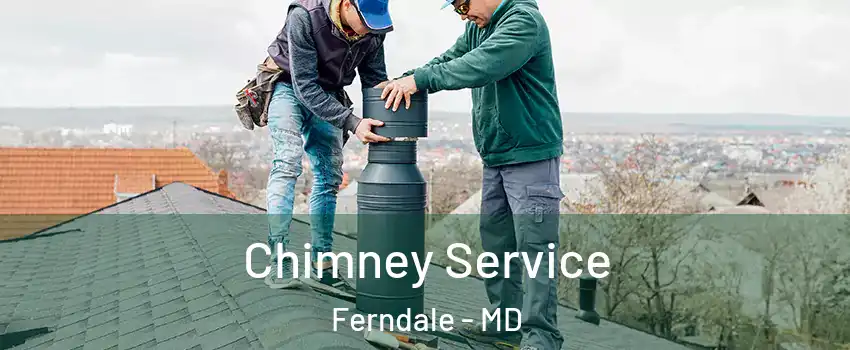 Chimney Service Ferndale - MD