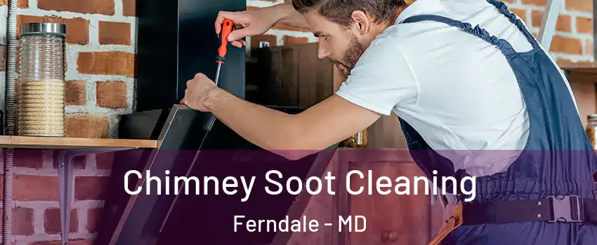 Chimney Soot Cleaning Ferndale - MD