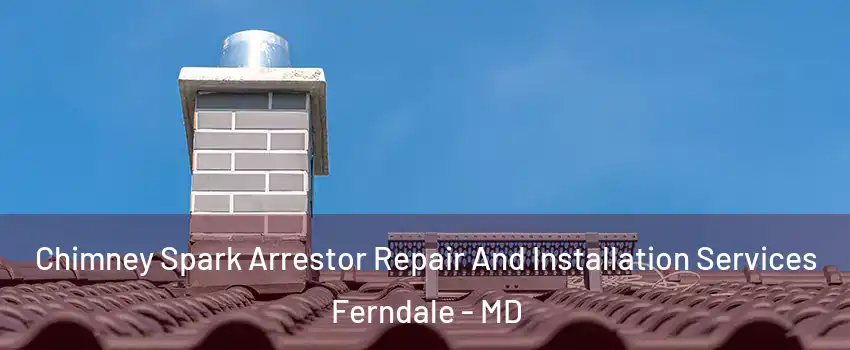 Chimney Spark Arrestor Repair And Installation Services Ferndale - MD