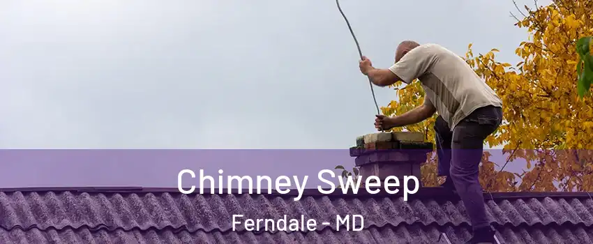 Chimney Sweep Ferndale - MD