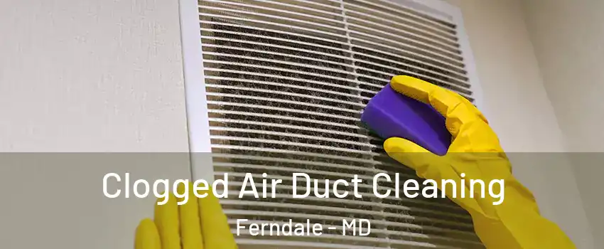 Clogged Air Duct Cleaning Ferndale - MD