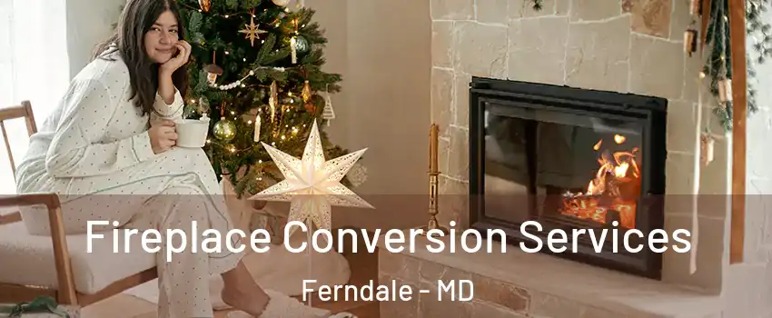 Fireplace Conversion Services Ferndale - MD