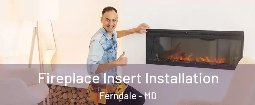 Fireplace Insert Installation Ferndale - MD