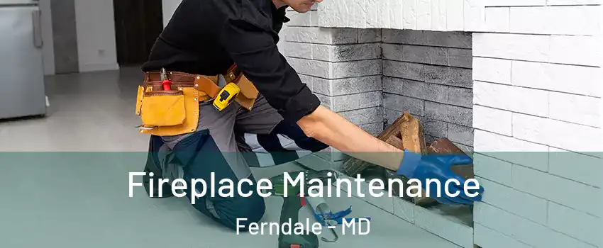 Fireplace Maintenance Ferndale - MD