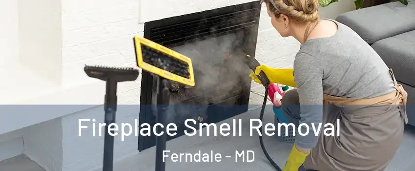Fireplace Smell Removal Ferndale - MD