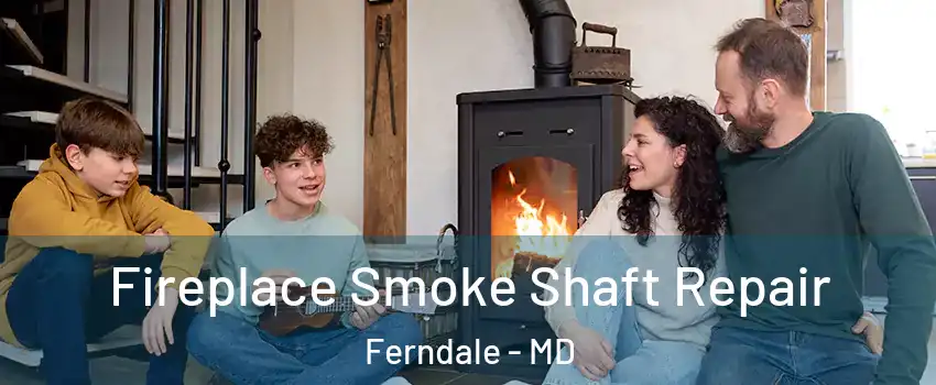 Fireplace Smoke Shaft Repair Ferndale - MD