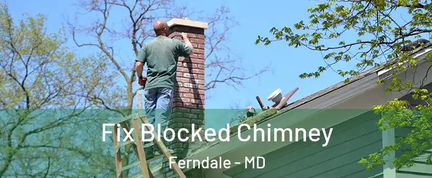 Fix Blocked Chimney Ferndale - MD