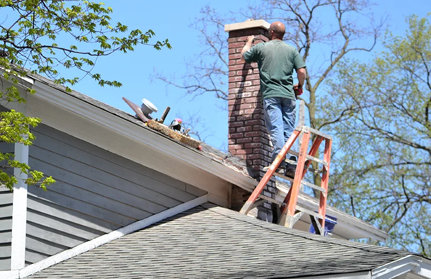 Chimney & Fireplace Inspections Services in Ferndale, MD