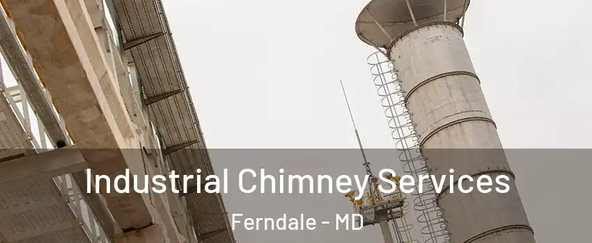 Industrial Chimney Services Ferndale - MD