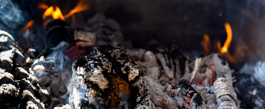 Creosote Removal Experts in Ferndale, MD