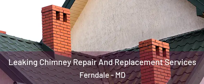 Leaking Chimney Repair And Replacement Services Ferndale - MD