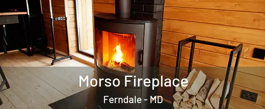 Morso Fireplace Ferndale - MD