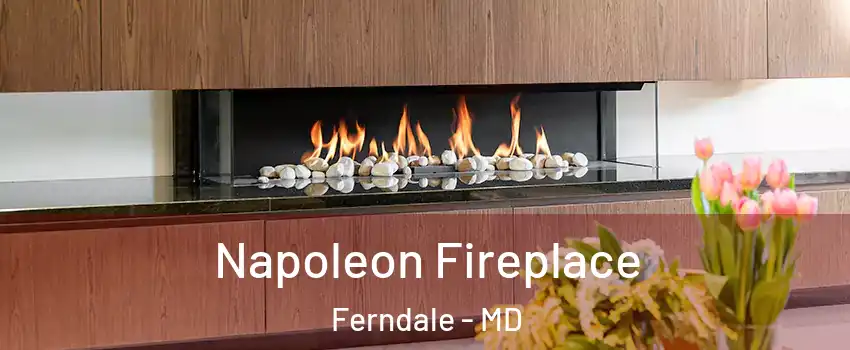 Napoleon Fireplace Ferndale - MD