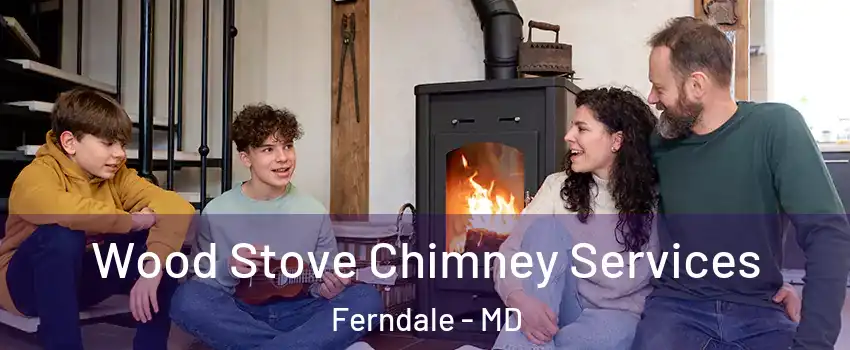 Wood Stove Chimney Services Ferndale - MD
